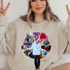 Chris Brown Breezy Albums Disk Unisex T-shirt Sweatshirt Hoodie